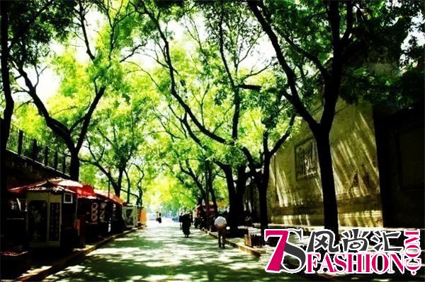 西安最美的8条街道，你去过几条？