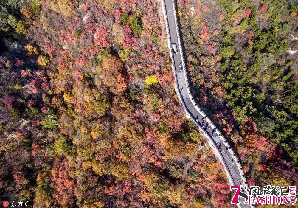 去中国最美的八条路 赏最后的秋色