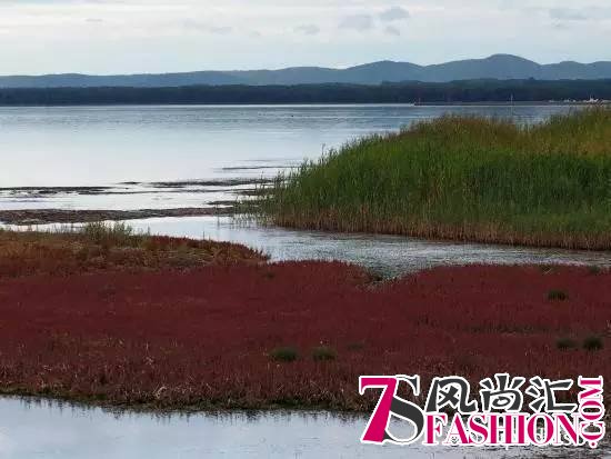 去过日本10次以上 也未必知道这些好地方