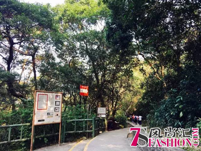 15个私藏的香港体验 这么玩才有趣