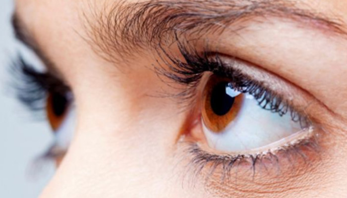 棕色和琥珀色瞳孔区分