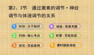 激素作用的基本特点 包括哪些