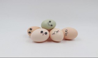 鸡蛋系带的作用 鸡蛋系带的作用简述