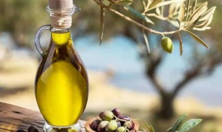 橄榄油可以擦身体吗 橄榄油能直接抹身上么？