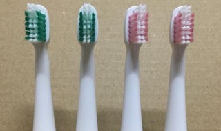 电动牙刷头能通用吗 电动牙刷头可以通用吗